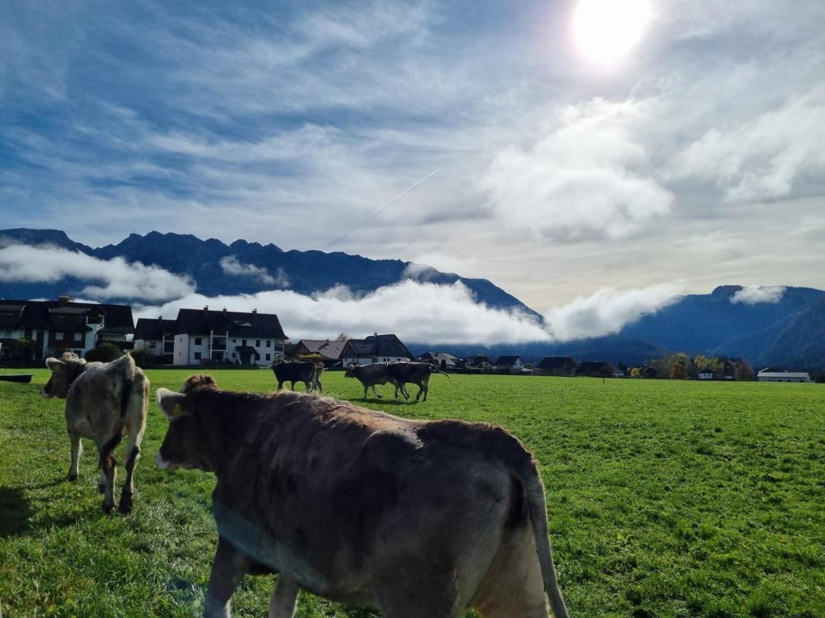 Urlaub Am Bauernhof Bei Familie Steinbrecher バート・ミッテルンドルフ エクステリア 写真